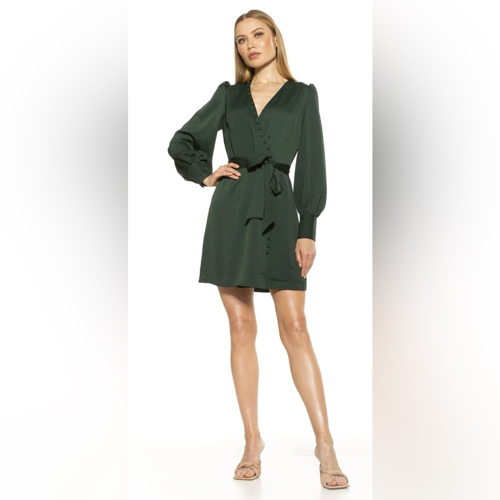Alexia Admor Mini Wrap Dress